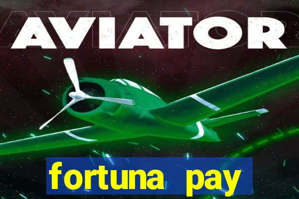 fortuna pay consultoria financeira ltda